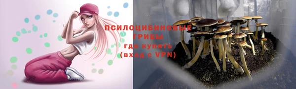 ешки Белокуриха