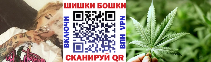 Бошки марихуана сатива  Пионерский 